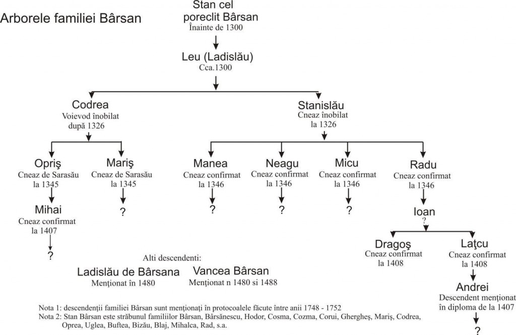 stramosii familiei Barsan