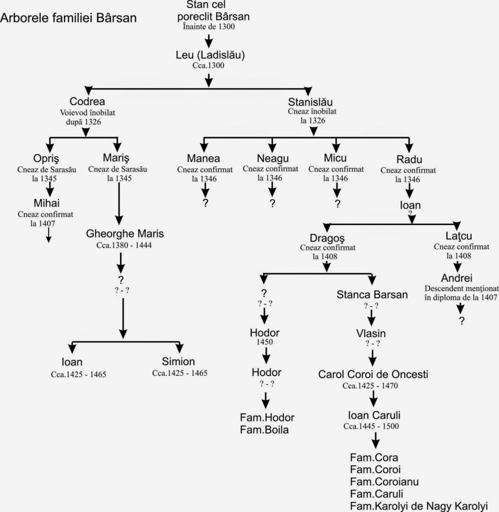 Arborele genealogic al familie Barsan