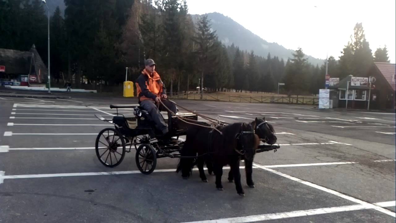 Poiana Brasov caleasca cu ponei