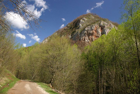 cetatea dacica Piatra Rosie