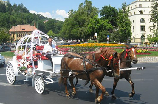 trasura Brasov 2014