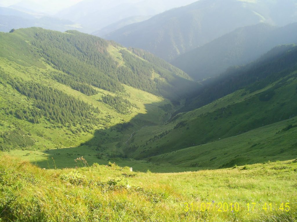 Creasta văzută din Tarniţa Bârsanului spre vest