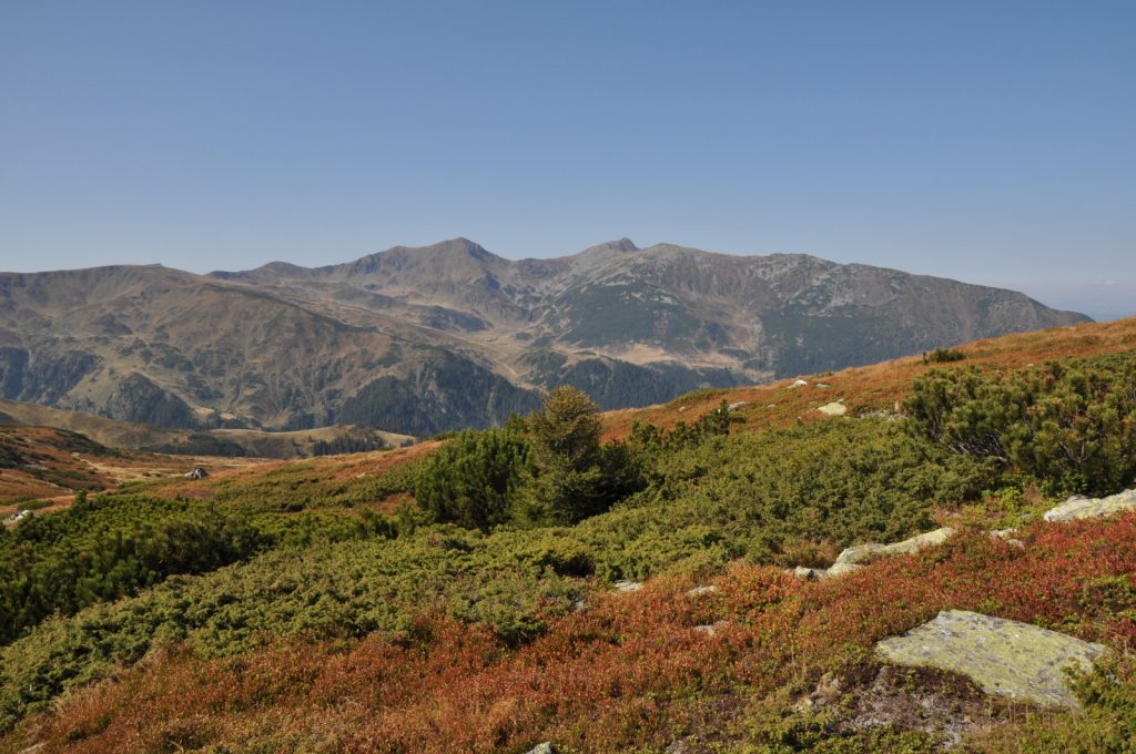 Vedere din Tarnița Bârsanului Traseul de Creasta intre Saua Gargalau 1907m si Tarnita La Cruce 1985m Muntii Rodnei