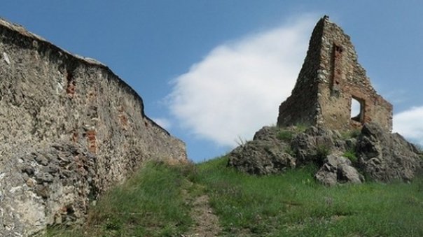 ruine cetatea Bassovia